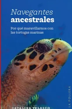 Navegantes ancestrales