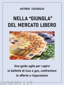Nella giungla del mercato libero: una guida agile per capire le bollette di luce e gas, confrontare le offerte e risparmiare