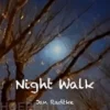 Night Walk