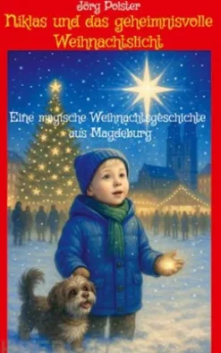 Niklas und das geheimnisvolle Weihnachtslicht