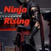 Ninja Rising
