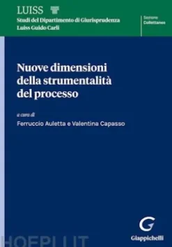 Nuove dimensioni della strumentalità del processo