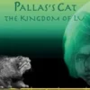 Pallas's Cat the Kingdom of Lu