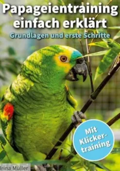Papageientraining einfach erklärt