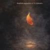Pouvoir éphémère