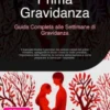 Prima Gravidanza: Guida Completa alle Settimane di Gravidanza