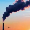 Primavera rumorosa