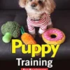Puppy Training For Beginners