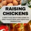 Raising Chickens