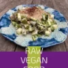 Raw Vegan Food