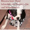 Rheuma beim Hund behandeln mit Homöopathie und Schüsslersalzen