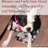 Rheuma und Gicht beim Hund behandeln mit Homöopathie und Schüsslersalzen