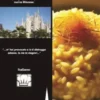 Ricette Tipiche Milano