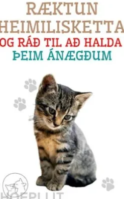 Ræktun Heimilisketta og ráð til að Halda þeim Ánægðum