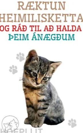 Ræktun Heimilisketta og ráð til að Halda þeim Ánægðum