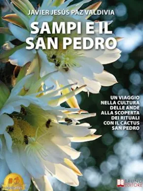 Sampi E Il San Pedro