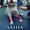 Sasha