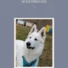Schäferhunde: Deutscher, Altdeutscher und Weißer Schweizer Schäferhund