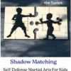 Shadow Matching