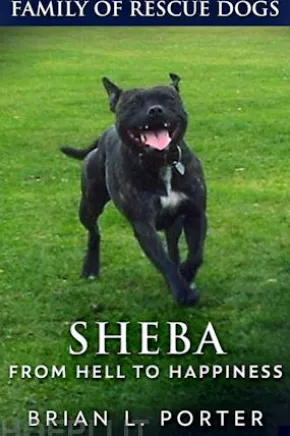 Sheba - From Hell to Happiness