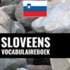 Sloveens vocabulaireboek