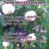 Sommertraum
