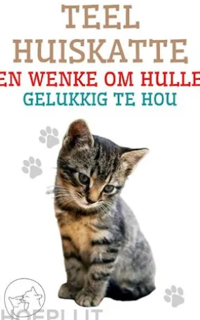 Teel huiskatte en wenke om hulle gelukkig te hou
