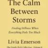 The Calm Between Storms