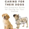 The Dog Owner’s Blueprint for Caring for Their Dogs