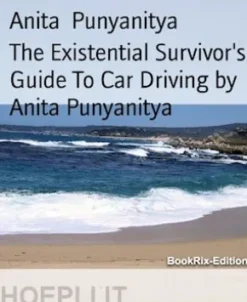 The Existential Survivor's Guide To Car Driving by Anita Punyanitya