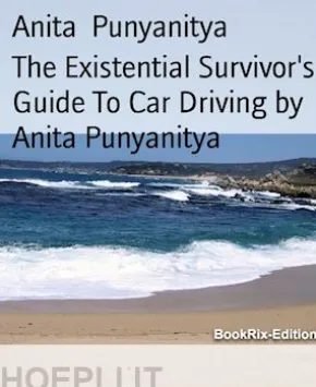 The Existential Survivor's Guide To Car Driving by Anita Punyanitya