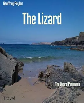 The Lizard