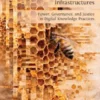 The Politics of Open Infrastructures