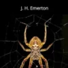The Structure and Habits of Spiders