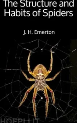 The Structure and Habits of Spiders
