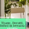 Tisane, Decotti e Infusi in terrazza