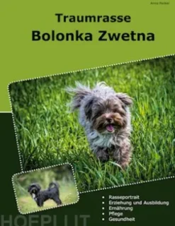 Traumrasse Bolonka Zwetna