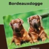 Traumrasse Bordeauxdogge