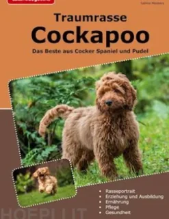 Traumrasse Cockapoo