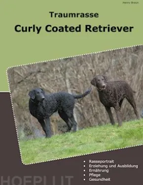 Traumrasse Curly Coated Retriever