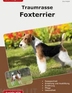 Traumrasse Foxterrier