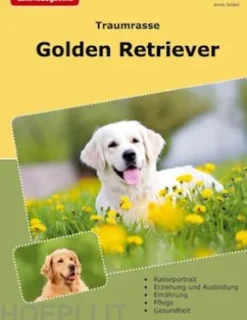 Traumrasse Golden Retriever
