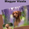 Traumrasse: Magyar Vizsla
