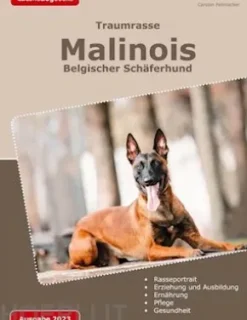 Traumrasse: Malinois