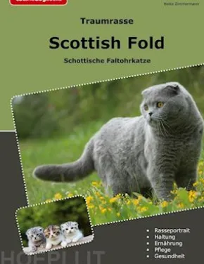 Traumrasse Scottish Fold