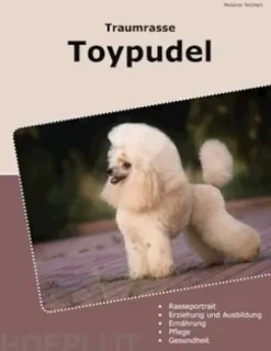 Traumrasse Toypudel