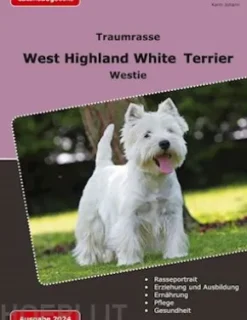Traumrasse: West Highland White Terrier