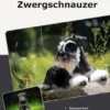 Traumrasse Zwergschnauzer