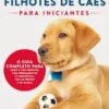 Treinamento De Filhotes De Cães Para Iniciantes