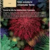Una creatura chiamata Terra